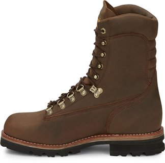 Chippewa boots hot sale arctic 25492